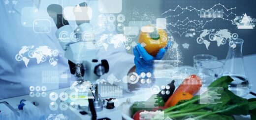 Нанотехнологии и биотехнологии